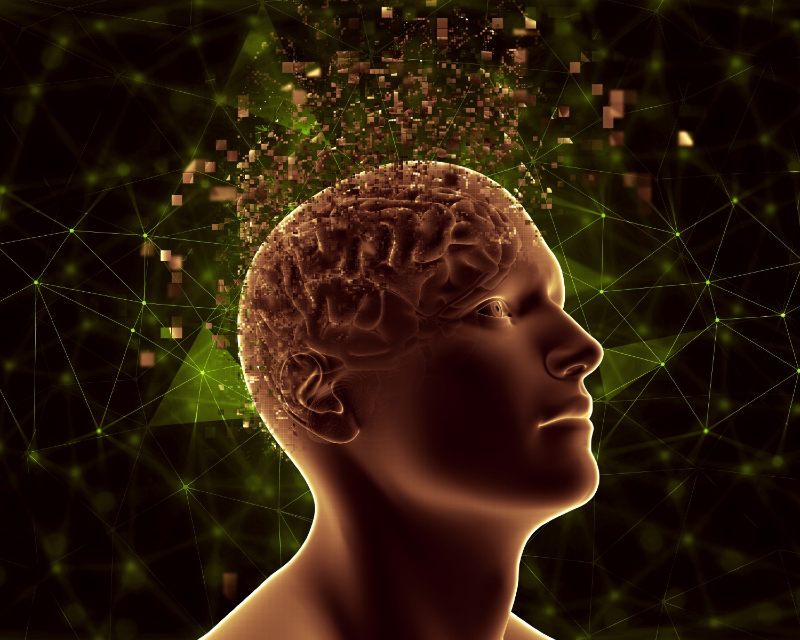 Νευροεπιστήμη: Εσύ και το μυαλό σου